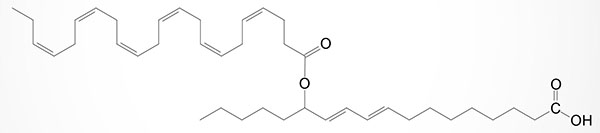 Structure of Docosahexaenoic acid-13-hydroxylinoleic acid, 13-DHAHLA