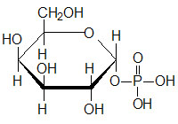 galactose-1-phosphate