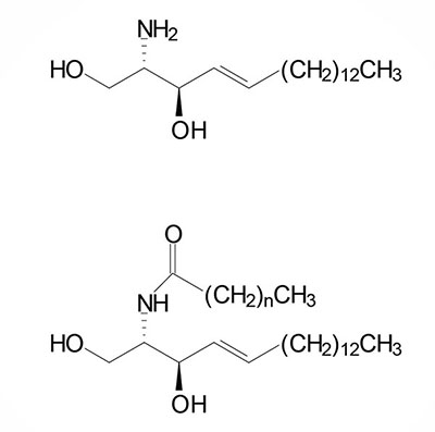 Structures of sphingosine and a ceramide