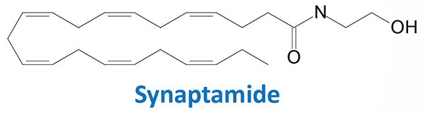 synaptamide (N-docosahexaenoyl ethanolamine, DHEA)