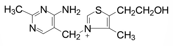 Structure of thiamine
