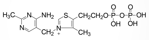 Structure of thiamine pyrophosphate