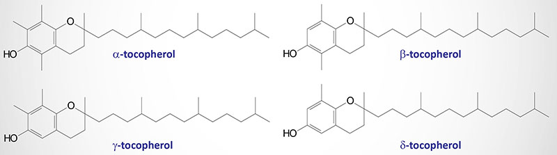 Structure of the tocopherols: vitamin E