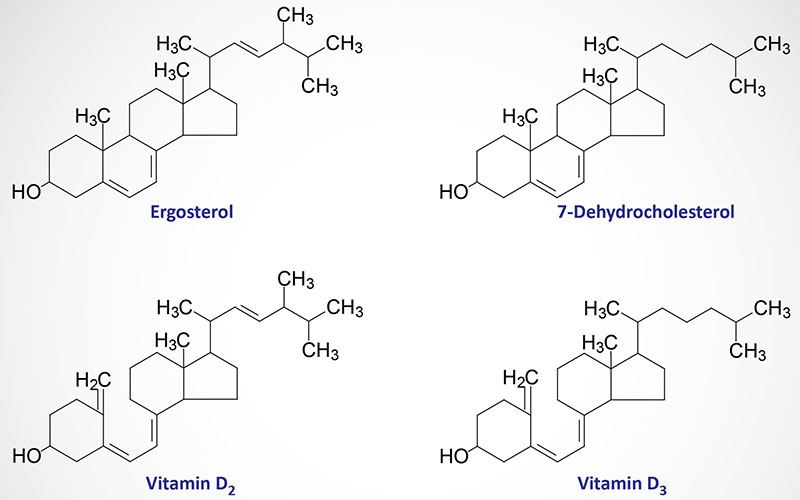 Structures of major forms of vitamin D