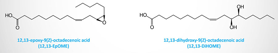 structures of 12,13-EpOME and 12,13-DiHOME