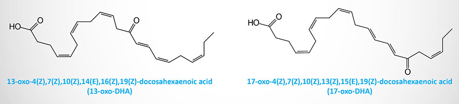 structures of 13-oxo-DHA and 17-oxo-DHA