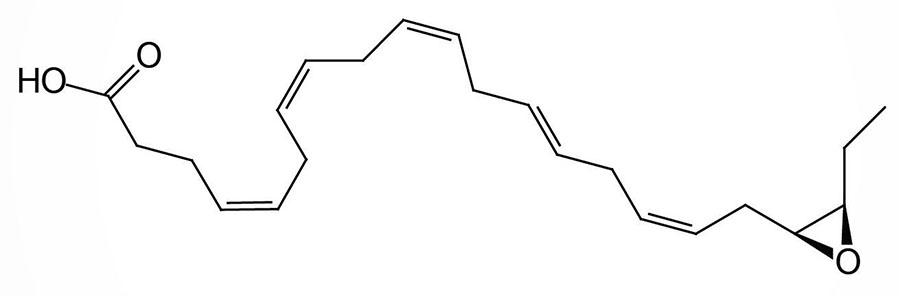 structure of 19-20-EpDPE