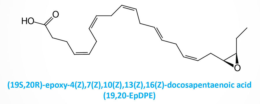 structure of 19,20-epoxy-docosapentaenoic acid (19,20-EpDPE)