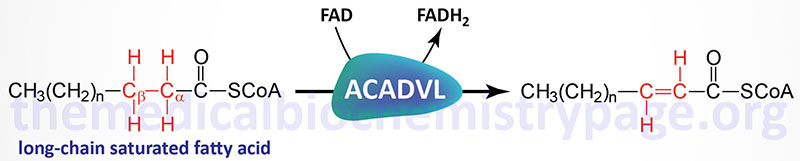 Very Long Chain Acyl-CoA Dehydrogenase (VLCAD) Deficiency