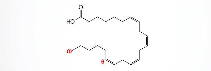 adrenic acid structure