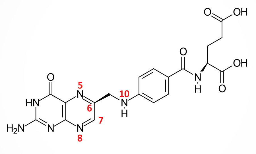 structure of folic acid