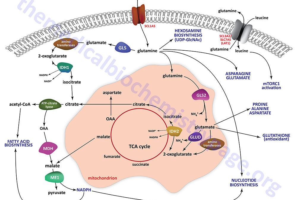 Metabolic Alterations Associated with Cancer