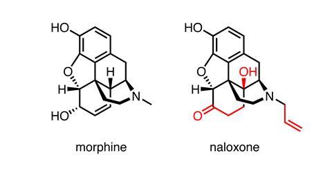 structures of morphine and naloxone