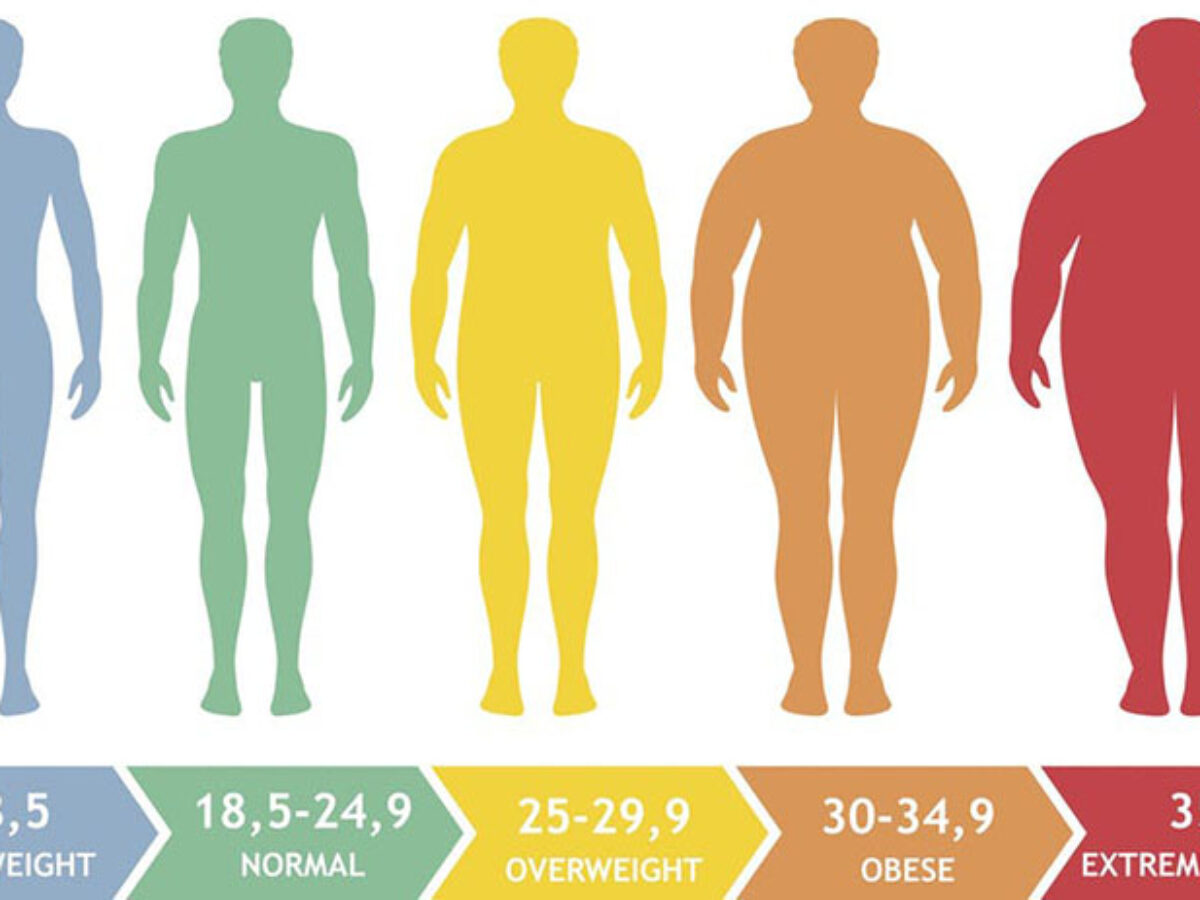 Obese Vs Overweight