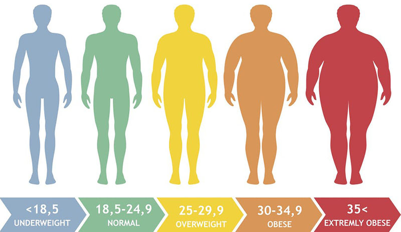 A Better Measure of Metabolic Health: What Is Your Biological BMI?