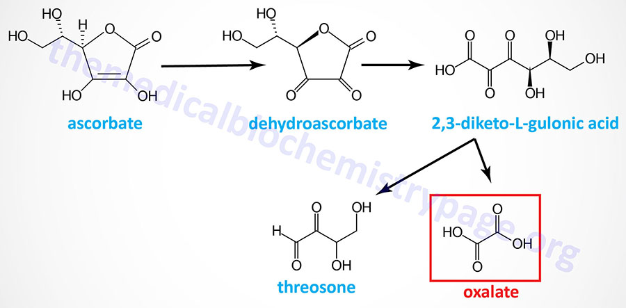 non-enzymatic conversion of ascorbate to oxalate