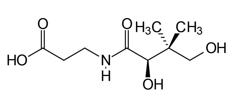structure of pantothenic acid: vitamin B5