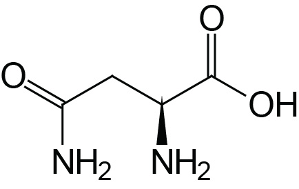 Structure of asparagine