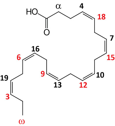 Structure of docosahexaenoic acid (DHA)