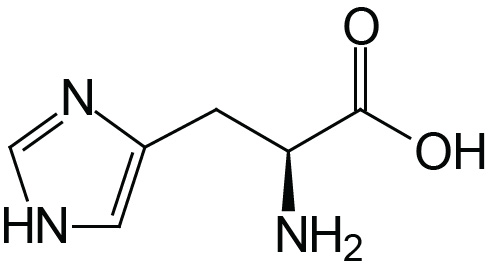 Structure of histidine