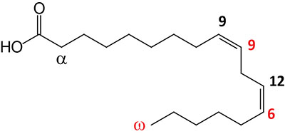 Structure of linoleic acid
