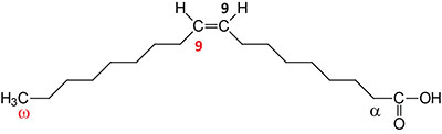 Structure of oleic acid