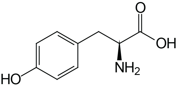 Structure of tyrosine