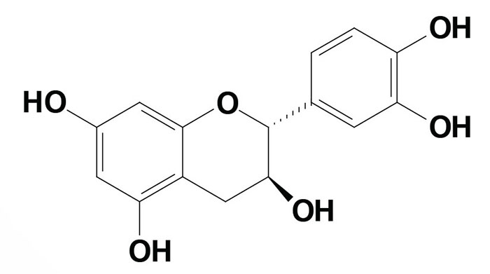structure of catechin