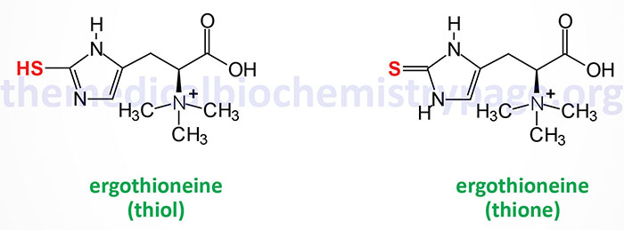 ergothioneine structures