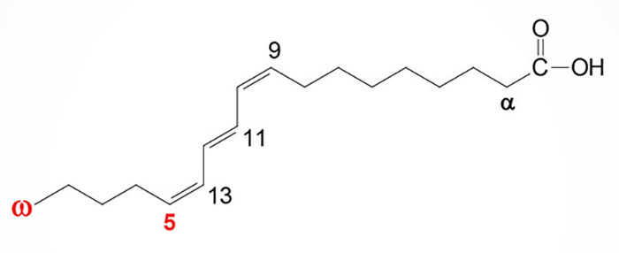structure of punicic acid